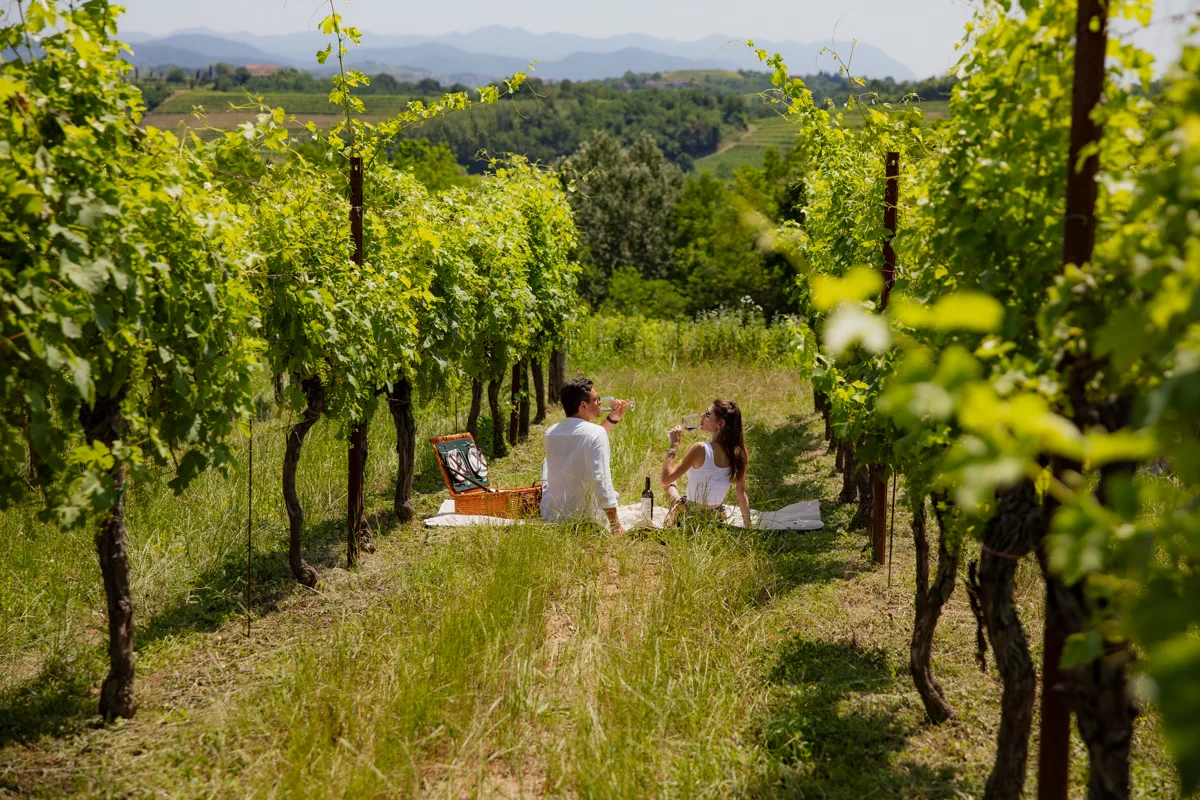 Grappolo d'Oro a Udine